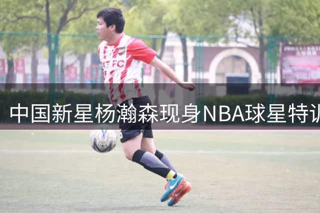 中国新星杨瀚森现身NBA球星特训营 与马克西同场竞技引关注