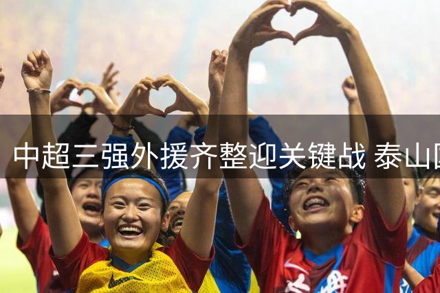 中超三强外援齐整迎关键战 泰山国安申花迎阵容利好