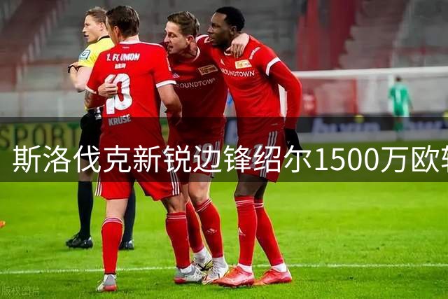 斯洛伐克新锐边锋绍尔1500万欧转战德甲 豪言要在斯图加特书写新篇章
