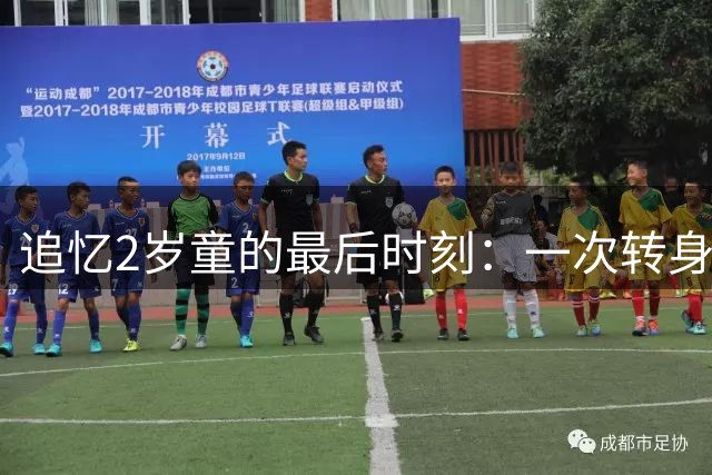 追忆2岁童的最后时刻：一次转身成永别